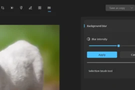 How to Blur Photo Background in Windows 11 PC Via Photos App