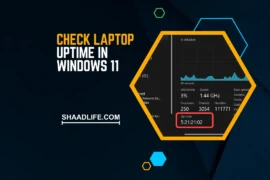 How to Check Laptop Uptime in Windows 11 in 2 Methods [2023]