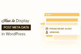 How to Display Blog Post Meta Data in WordPress Themes