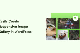 How to Easily Create Responsive WordPress Image Galleries with Envira