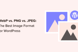 The Best Image Format for WordPress