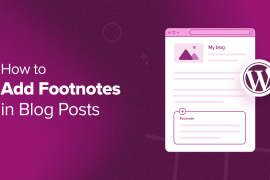 How to Add Simple and Elegant Footnotes in WordPress