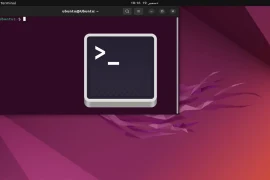 Terminal Not Opening in Ubuntu on VirtualBox: Easiest Fix in 2024