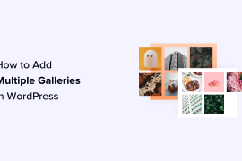 How to Add Multiple Galleries in WordPress Posts and Pages