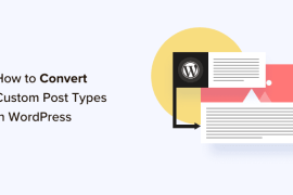 How To Switch/Convert Custom Post Types in WordPress