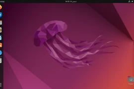 How to Make Ubuntu Full-screen on VirtualBox in Windows 10/11