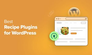 9 Best Recipe Plugins for WordPress (Free and Paid)