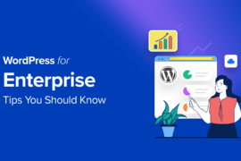 WordPress for Enterprise – 6 Tips You Should Know