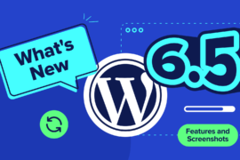 What’s New in WordPress 6.5 (Features and Screenshots)