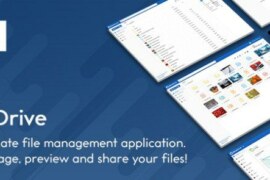 BeDrive v3.1.5 – File Sharing and Cloud Storage Script Free