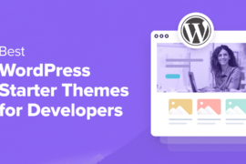 19 Best WordPress Starter Themes for Developers in 2024