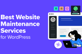 6 Best Website Maintenance Services for WordPress (2024)