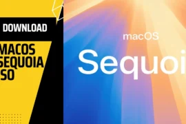 Download macOS 15 Sequoia ISO File for VirtualBox and VMware