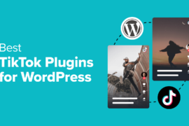 8 Best TikTok Plugins for WordPress (Expert Pick in 2024)