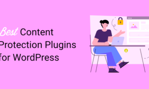 10 Best Plugins for WordPress Content Protection 2024