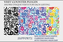 Visit Counter – Classifieds Plugin