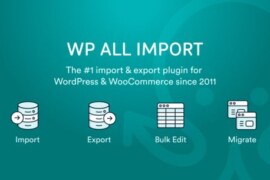 WP All Export Pro v1.9.1 – WordPress Plugin