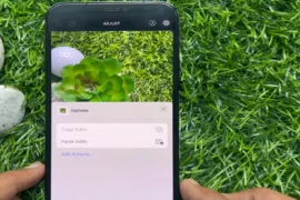 How to Copy and Paste Edits on iPhone for Photos [iOS 17 & 18]