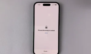 How to Lock Safari Private Tabs with Face ID on iPhones (iOS 18)