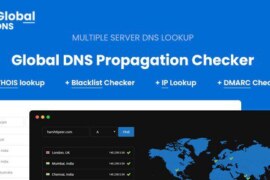 Global DNS v2.9.1 – DNS Propagation Checker – WHOIS Lookup – WP Plugin