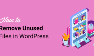 How to Delete Unused Files in WordPress & Free Up Space