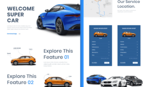 Plugin & Theme Bundle All Access Pass for Professional Freelancer