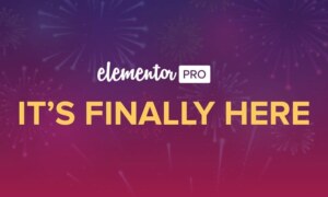 Elementor Pro | WordPress Websites Builder [Premium]